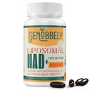 800のmgのLiposomal NAD+ ニコチンアミドリボシド200mg、トランスレスベラトロール100mg - DNA修復のための真のNADサプリメント、健康な老化、脳機能 - 60日の供給