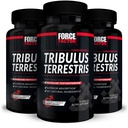 男性のためのフォースファクターTribulus Terrestris, 3-パック, 男性のためのTribulusテストステロンブースター, 男性バイタリティサプリメント, 優れた吸収のためのTribulusエキス&天然成分, 1000mg, 180カプセル