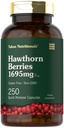 Tahoe Nutritionals Hawthorn Berry Capsule | 1695mg per Offering | 250Count | 女性と男性のためのエキス末 | Non-GMO、グルテンフリーエキストラ