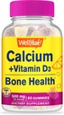 WellYeahカルシウム500mg +ビタミンD3 1000 IU(25 mcg)グミー - 骨の健康と筋肉のサプリメント、免疫サポートガミー、非GMO、グルテンフリー、ミックスフルーツ味 - 60グミ