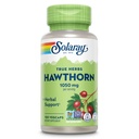 SOLARAY Hawthornベリーカプセル 1050 mg - ハーブサポート - 全体的なウェルネスサポートのためのホーソーンベリーサプリメント - 全ベリー、ビーガン、非GMO、60日保証、50のサービング、100 VegCaps