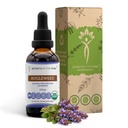Bugleweed USDA Organic | アルコールフリーエキス、高確率ハーブドロップ、呼吸器系 | 100%認定オーガニックバクレイード(Ze Lan、Lycopus Virginicus)ドライハーブ(2FL OZ)製