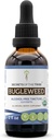 Bugleweed USDA Organic | アルコールフリーエキス、高確率ハーブドロップ、呼吸器系 | 100%認定オーガニックバクレイード(Ze Lan、Lycopus Virginicus)ドライハーブ(2FL OZ)製