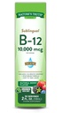 Nature's Truth Sublingual Vitamin B-12 10,000 Mcg、高速演技液、ナチュラルベリー風味、2液量オンス(パッケージ1)