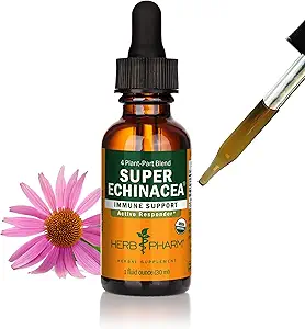 ハーブ Pharm は活動的な免疫システム サポートのための有機性極度の Echinacea の液体のエキス- 1 つの Ounce (DSUPER01)を証明しました