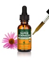 ハーブ Pharm は活動的な免疫システム サポートのための有機性極度の Echinacea の液体のエキス- 1 つの Ounce (DSUPER01)を証明しました