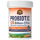 Vitalitown Probiotics 120億CFU、36の緊張、プレバイオティクス、男性女性のための消化酵素、遅れた解放、安定した棚、Goの消化器サポート、30のベジーキャップ