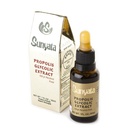 ブラジル ブラジル ブラジルの緑の蜂のプロポリスの液体のエキスのSanyataアルコール30ML (1のパック)