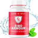 SIBO | IBSリリーフ(臨床グレードトリートメント) ブロッティング、ディアリア、リーキーガット、ガス | 遅延解放ペパーミント | 乳房症候群・小腸菌増殖に有効なサプリメント
