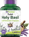 tnvitamins 聖バジルカプセル(1,600mg相当 - 240カプセル) | 8ヶ月の供給 | AKA Tulsi | 5月 ストレスと不満の救済を促進する | 適応性、およびアーユルヴェーダハーブ