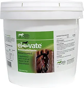 Kentucky Performance Products Elevate Maintenance Powder, 10 Pounds, Vitamin E Horse Supplement