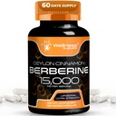 ウェルネスLABSRX Berberineサプリメント15,000mg - セイロンシナモン、全体的なウェルネスサポートカプセル - 120カプセル(パッケージ1)