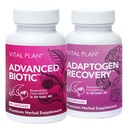 Vital Plan免疫サポートは、Bill Rawlsによるサプリメント - Immune Boost Bundle w/Japanese Knotweed、Catの爪、中国のSkullcap&Reishimash