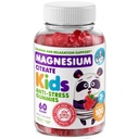 DR. MoriTZ シュガーフリー カルシウム マグネシウム キッズ・大人用 - Non-GMO Kids Magnesium Gummies - Raspberry Flavor - 1-Pack (60 カウント)