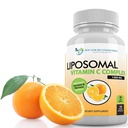 サービングごとのLiposomalのビタミンC 1400mg - 180のベジギー カプセルの高吸収のアスコルビン酸、強力な酸化剤およびコラーゲンのブースターのLypo球形のビタミンCの複雑な免疫サポート補足