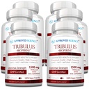 承認された科学Tribulus Terrestris - 360カプセル - テストステロンをブーストし、アスレチック性能を高めます、筋肉成長および修理を支えて下さい - 95%のFurostanolのサポニン-Bioperine - ビーガン - 6本のびん