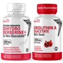 Nature's Fusions Nutri Dihydroberine(60カプセル) & Urolithin A Diacetate 500mgエネルギーブースターサプリメント