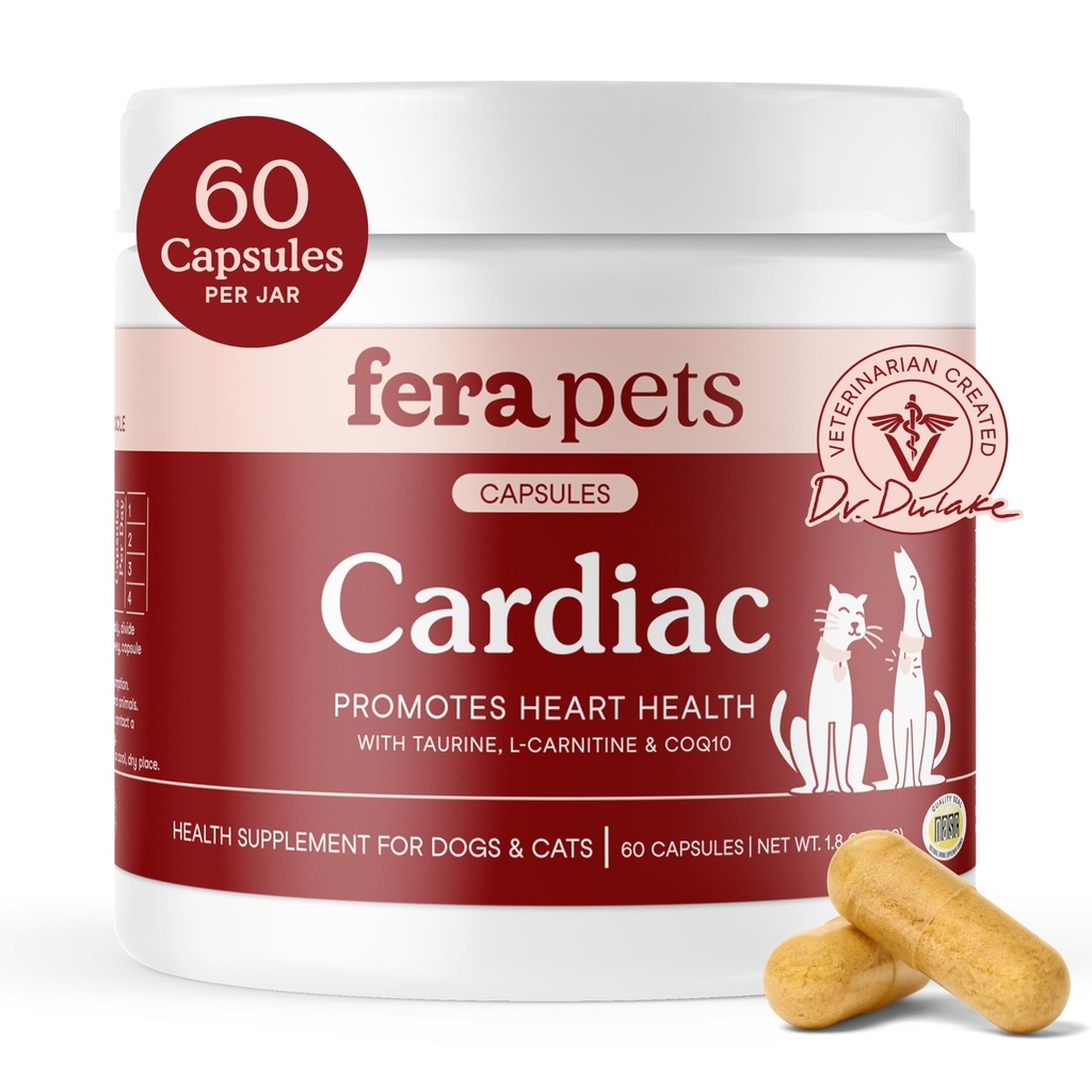 Feraペット心臓サポート - タウリン、L-カルニチン、およびCoQ10による猫と犬の心臓サプリメント - 正常な循環と心臓を促進 - 60カプセル