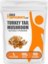 BulkSupplements.com Turkey Tail Mushroom Extract Powder - Coriolus Versicolor Extract, Mushroom Supplement - Vegan & Gluten Free, 1g per Serving, 100g (3.5 oz) (Pack of 1)