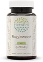 HerbEra Bugleweed 60カプセル、400 mg、Bugleweed(Lycopus Virginicus)で作られたハーブ(60カプセル)