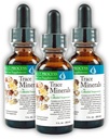 コルイダルサスペンション(3パック)モルターヘルスシステムベストプロセスアルカリ - Nutrient Dense Trace Elements、Fulvic Minerals&Amino Acids
