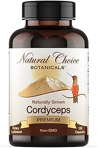 Organic Cordyceps Mushroom Supplement - 120 Capsules