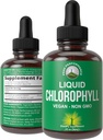 Chlorophyllの液体の低下-超高い純度、アルコールは、非GMO、グルテンフリーの液体クロロフィルは補足を落とします。 水を飲む。 内部消臭剤+スキンケア、免疫、消化器系サポート
