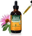 Herb Pharmは免疫システム サポートのための有機性金Echinaceaの液体のエキスを- 4 Ounce証明しました