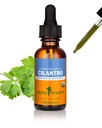 ハーブ Pharm は清潔になることおよび解毒サポートのための有機性 Cilantro のエキス- 1 つの Ounce を証明しました