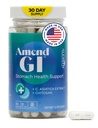Amend GI All-Natural Stomach Health Support 60カプセル - ストレス誘発性潰瘍症状のためのNutraceutical - AsiaticaエキスとCM Chitosanによる癒しと消化の健康をサポート