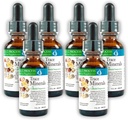 コロイドサスペンション(6パック)モルターヘルスシステムベストプロセスアルカリ - Nutrient Dense Trace Elements、Fulvic Minerals&Amino Acids