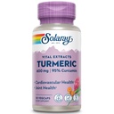 SOLARAYターメリックサプリメント600mg - 95%クルクミンとターメリックルート - 共同サポートサプリメント - 関節の健康、胆嚢と肝臓のサポート、非GMO、ビーガン、グルテンフリー、60日間保証、30サービング