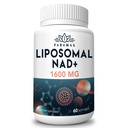1600のmgのリポソームのNADの補足、98%の純粋なNAD+の補足、優秀な吸収、別名でNicotinamideのリボシドまたはNADHに老化の防衛、エネルギー、長寿、60のSoftgelsのためのブーストに代わります