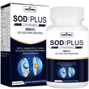 超酸化物ディスムターゼサプリメント500mg - SOD プラスとリポソームグルタチオン, AKG, グリーンティーエキス, L-アルギニン, リジン, レスベラトロールと免疫サポートのためのビタミンE, 抗酸化 60 カプセル