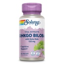 SOLARAY Ginkgo Biloba Extract with Gotu Kola - 脳の健康サポートのためのGinko Bilobaカプセル - ビーガン、Lab Verified、60日間保証 - 60の給餌、60ベジキャップ(60ベジキャップ)