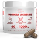 Fadogia Agrestis 1000mg/サービングサプリメント - エネルギー、アスレチックパフォーマンス、マッスルマスを増加させる強力な抽出物 - サプリメント、米国製(60カプセル)