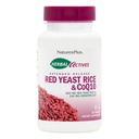 NaturesPlusハーブ活性赤イーストライス600mg&CoQ10 100mg、拡張リリース - 30ビーガンタブレット - 最大効力サプリメント、抗酸化剤 - ベジタリアン、グルテンフリー - 30サービング
