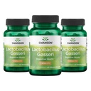 Swanson Lactobacillus Gasseri プロバイオティクス 3億CFU - 酸抵抗剤、冷凍なし(60ビーガンカプセル、3パック)