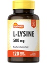 サンダンス L-リジン 500mg | 120カプレット | 無料のフォームアミノ酸 | ベジタリアン・非GMO・グルテンフリー対応サプリメント