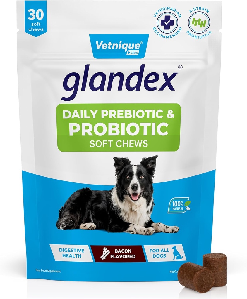 Vetnique Glandexは、プレバイオティクスを備えた犬用の毎日のプロバイオティクスで、繊維および消化酵素、プロバイオティック咀嚼または粉末(30ct咀嚼、ベーコン咀嚼)で腸の健康をサポート