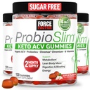 フォースファクターProbioSlim Keto ACVグミー、LactoSpore Probioticsと有機Apple Cider Vinegar Gummiesおよび消化、代謝、免疫の健康、1ネット炭水化物、Apple Flavor、360ctをサポート