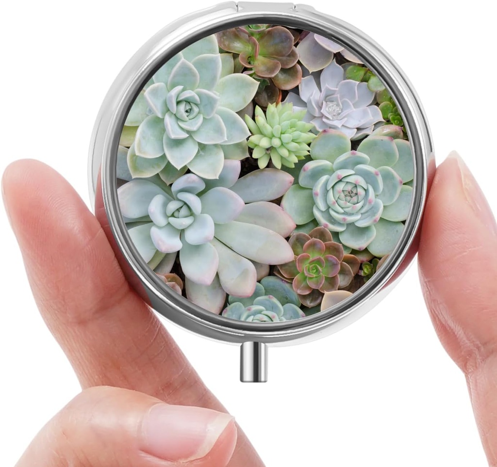 ミニピルボックス、小さなピルボックス、ポータブルピルボックス、ビタミン、医薬品、魚油、サプリメントのかわいいピルオーガナイザー(Succulent)