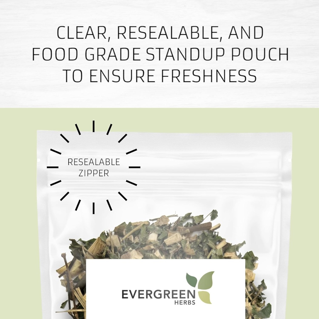 Evergreen Herbs Cuachalalate Herb (Amphipetyglum Adstringens) - Resealable Stand Up Pouch to Ensure Freshness! (Tea Bags)