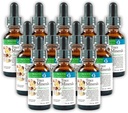 コルイダルサスペンション(12パック)モルターヘルスシステムベストプロセスアルカリ - Nutrient Dense Trace Elements、Fulvic Minerals&Amino Acids