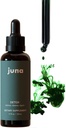 Juna Chlorophyllの液体の低下、3X の効力の集中 - Detox、Debloat、Cleanse、内部消臭剤、エネルギー及び細胞サポート 補足 - 新しくミントの味