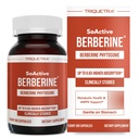 SoActive Berberine 550mg: 9.6X 高吸収, 臨床的にスタディ, 最適化された Phytosome | サポート代謝 & AMPK の活発化 | 非GMO, 大豆フリー | 臨床的に検証線量 | 60 サービング