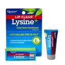 量子の健康の唇のゆとりのLysine+の風邪の心配の処置のSoothe及び保湿のMouth Sores - L-LysineのメントールのCalendula及びプロポリスの軟膏 - 透明なFeverのまめのHealing Balm - 0.25 Oz