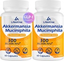 GLP1サプリメント | 300億AFU Akkermansia Muciniphila, Akkermansia Probiotics for Women Men, Akka Superbiotics for GLP-1 生産, 消化器, 腸, 免疫, グアットライニング機能を強化, 120キャップ