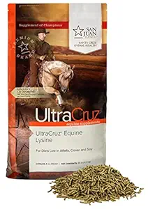 UltraCruz® Equine Lysine(ピュア)、25ポンド