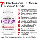 450mgアルファリポ酸のSciaticのNerveの救助サポート補足 - より低い背部、ヒップ、腰神経、腿、足、フィートのための1つの極度の方式の18 - 最高の自然なSciaticのNerveの救助サポート- 90のカプセル